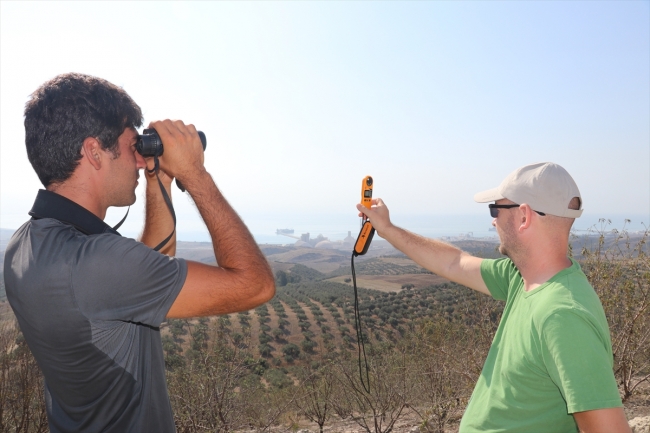 Türkiye'den Afrika'ya bir ayda 100 bin yırtıcı kuş göç etti